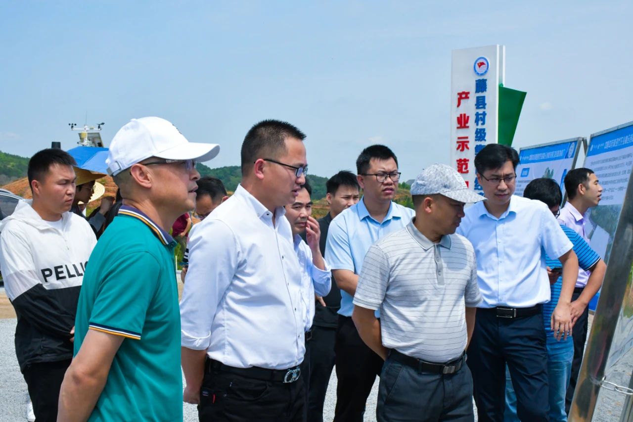 梧州市及各縣扶貧辦到中恒中藥材現代農業融合創新發展項目基地調研.jpg